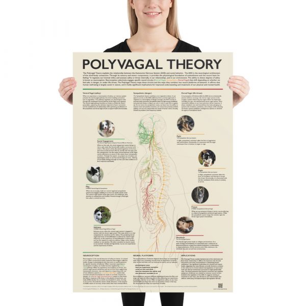 Official Polyvagal Theory Poster - Dog - Restorative Practices ...