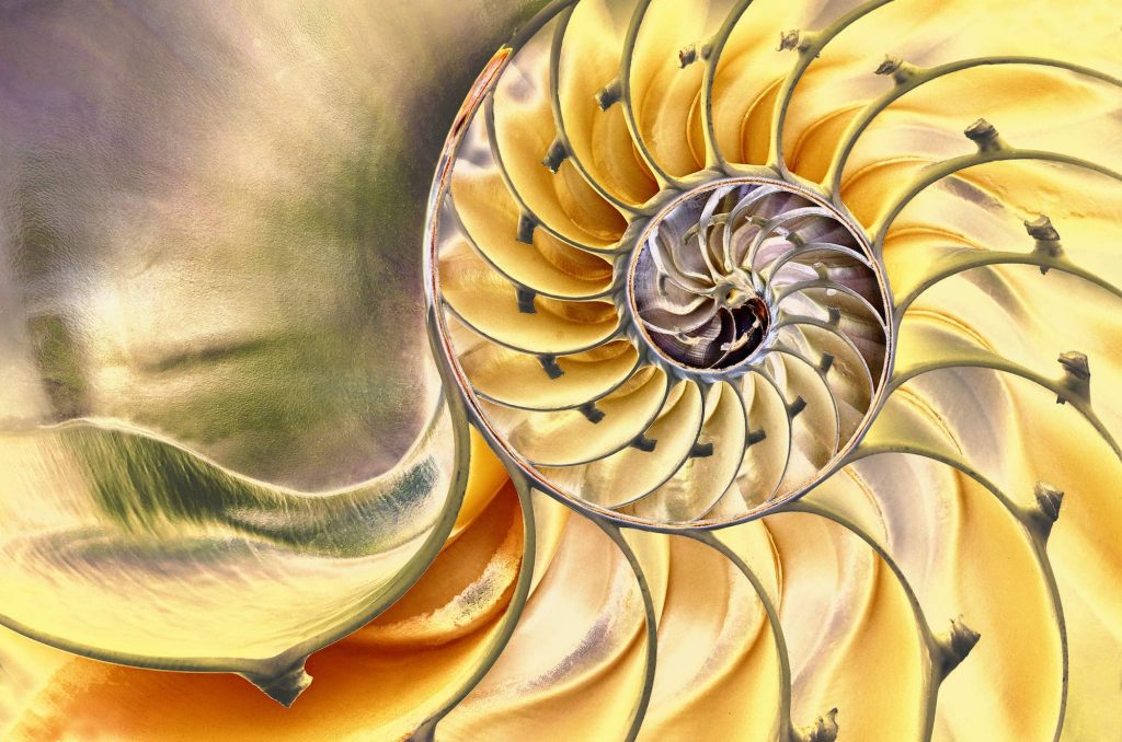 Restorative Practices Deep Learning Platform Full Subscription Restorative Practices Elearning Restorative Practices Deep Learning Platform Full Subscription Restorative Practices Elearning