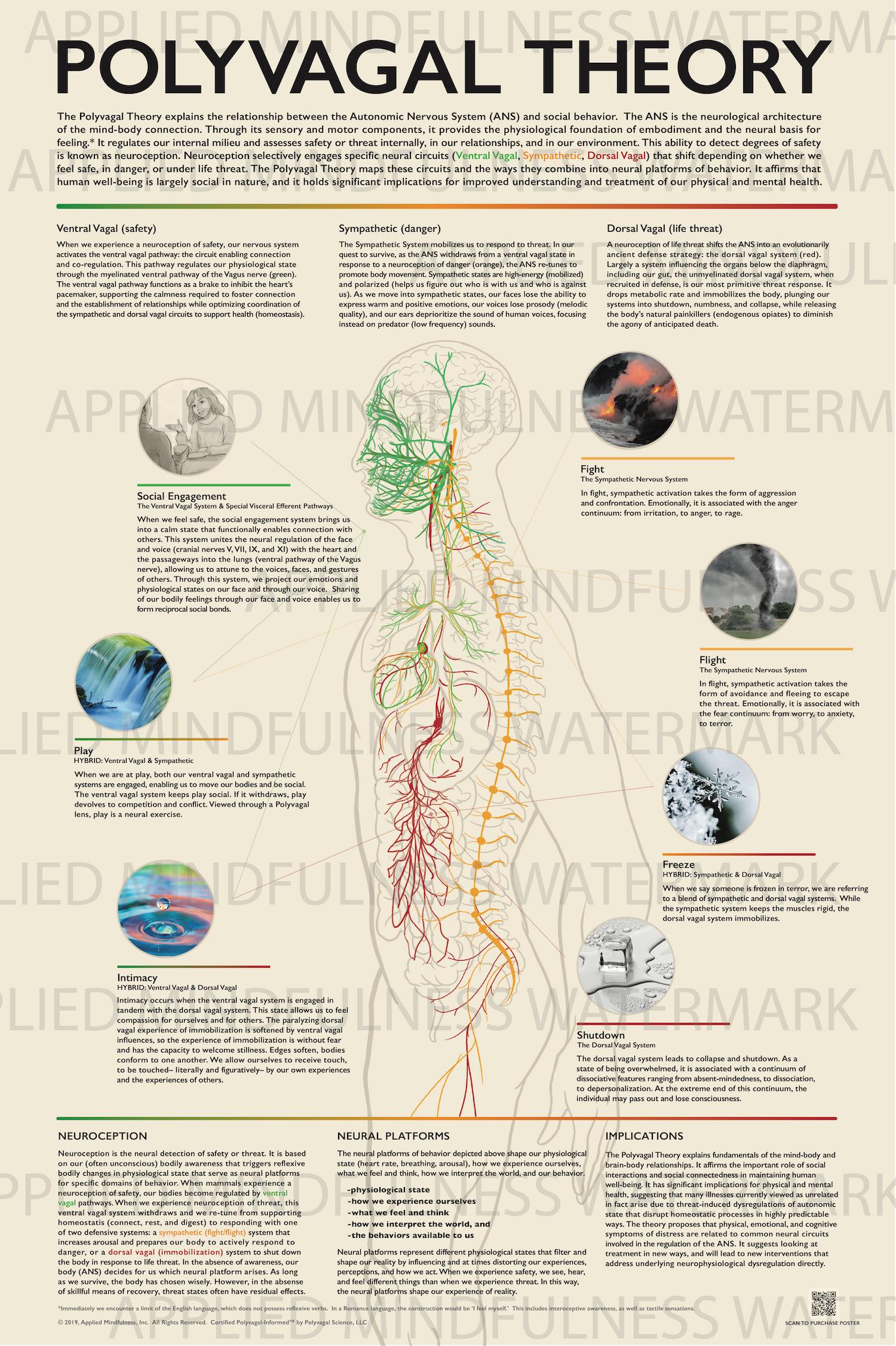 FINAL_MASTER_polyvagal_poster_011620