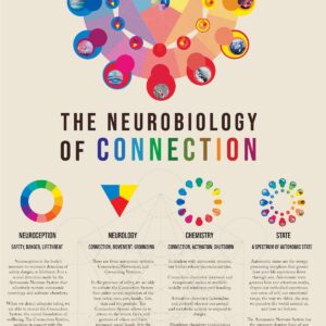 1 of 3) The Neurobiology of Connection - First Movement
