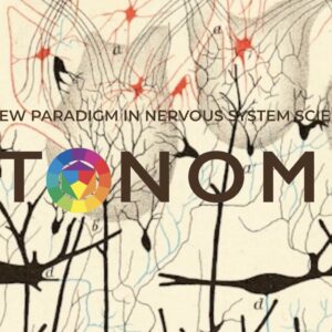 Practitioner Monthly Training Series